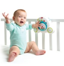 Tiny Love Soothe and Groove Meadow Days 