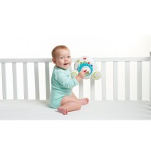 Tiny Love Soothe and Groove Meadow Days 