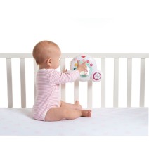 Tiny Love Soothe and Groove Tiny Princess karuselė