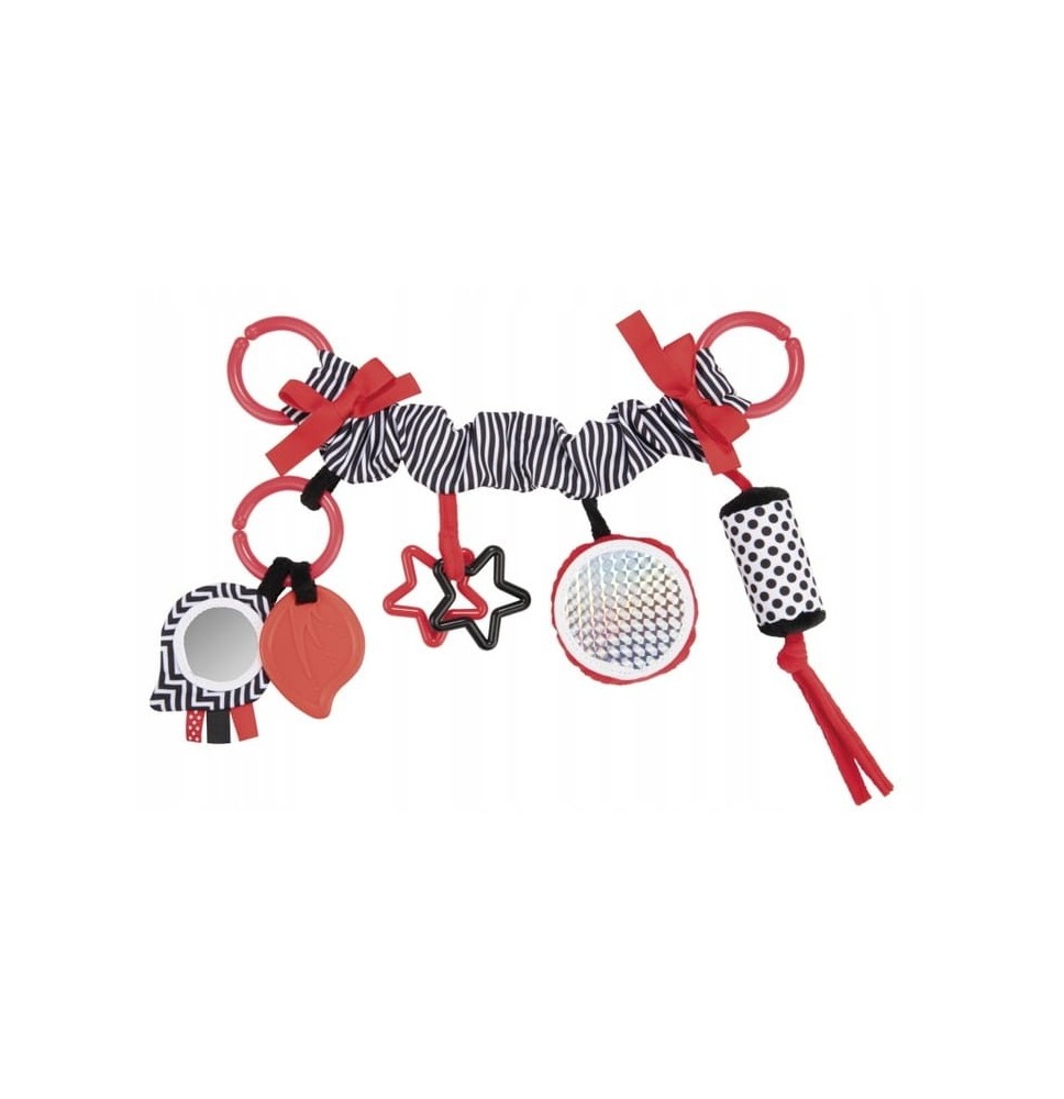 Pakabinamas žaislas Canpol Babies Sensory