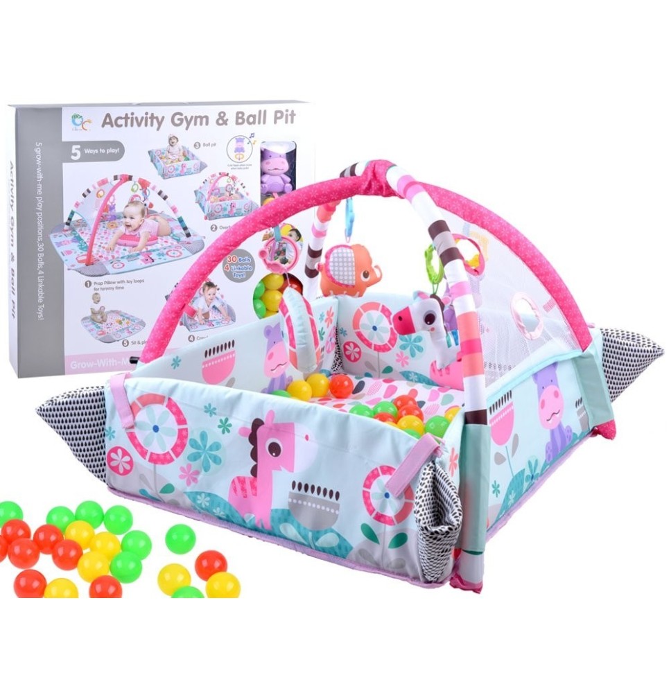 Lavinamasis kilimelis 5in1 Activity Gym