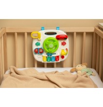 Lavinamasis staliukas TOYZ su vairu
