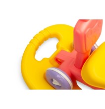 Multifunkcinis žaislas 5in1 Toyz Rose